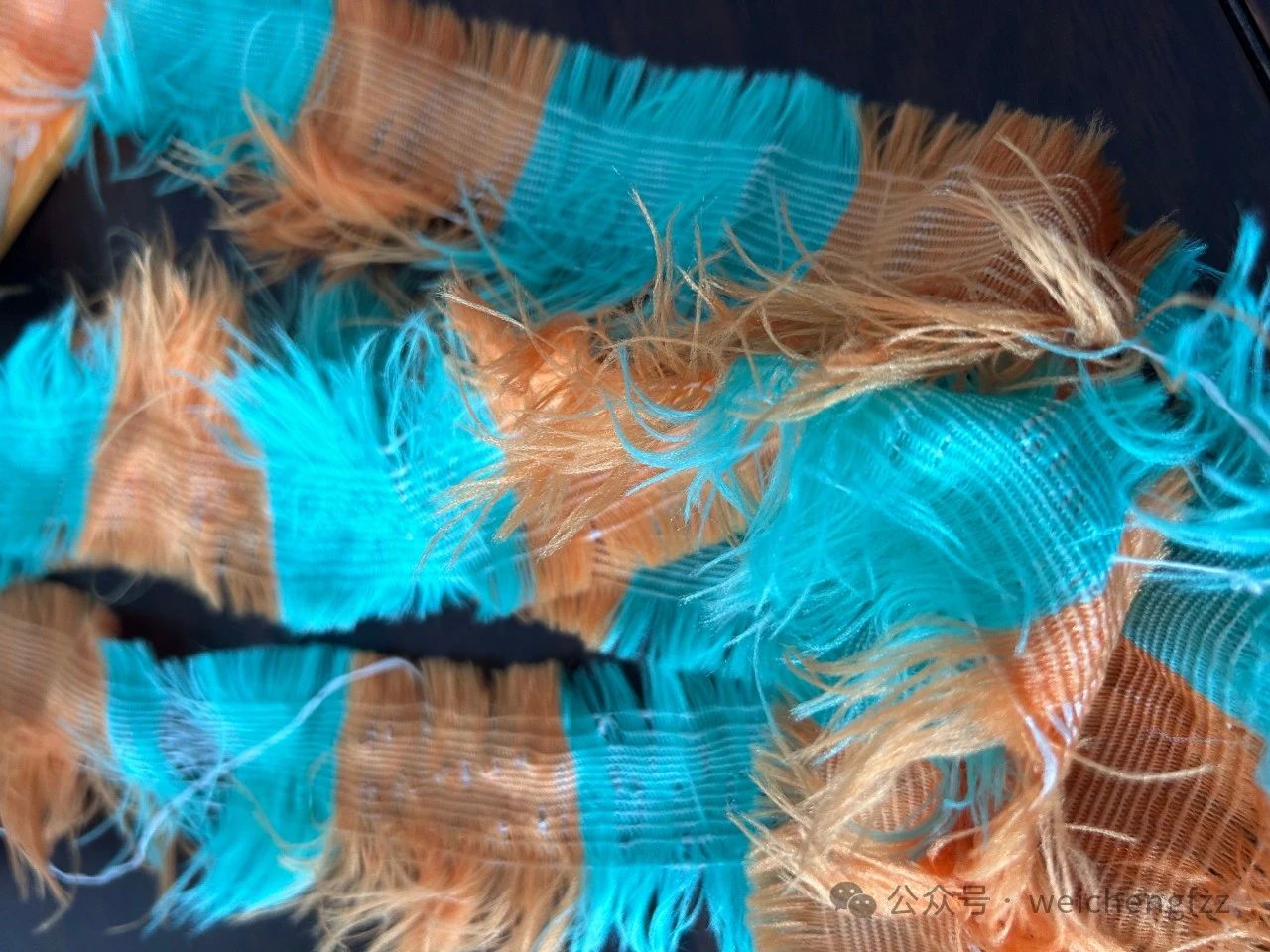 微信图片_20240418091901